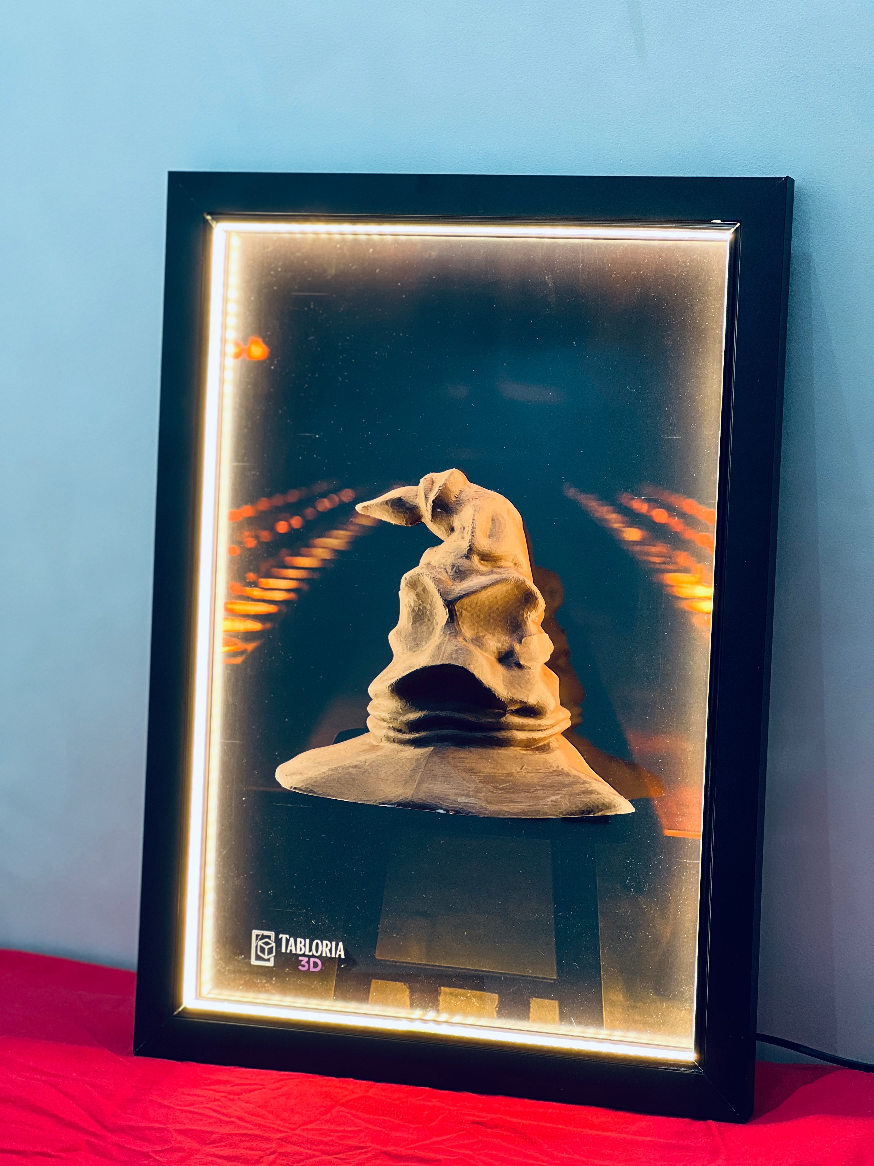 “Harry potter hat 3d portrait”